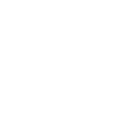 Belfast International Airport Logo