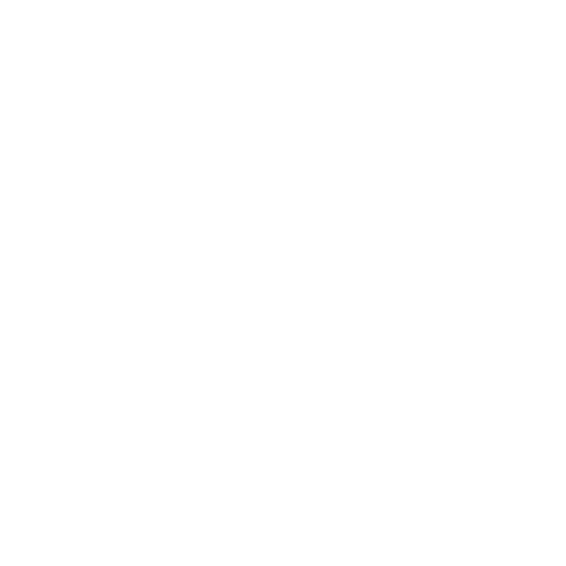 Platinum Logo